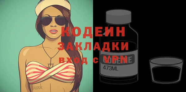 молекула духа Богданович