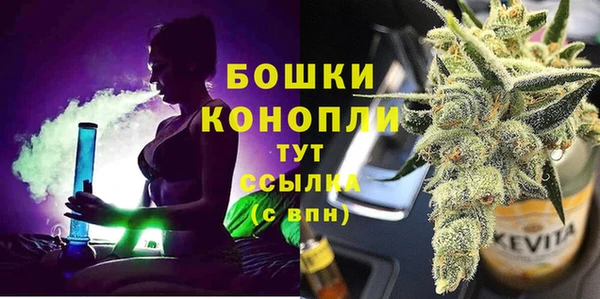 ГАЛЛЮЦИНОГЕННЫЕ ГРИБЫ Арсеньев